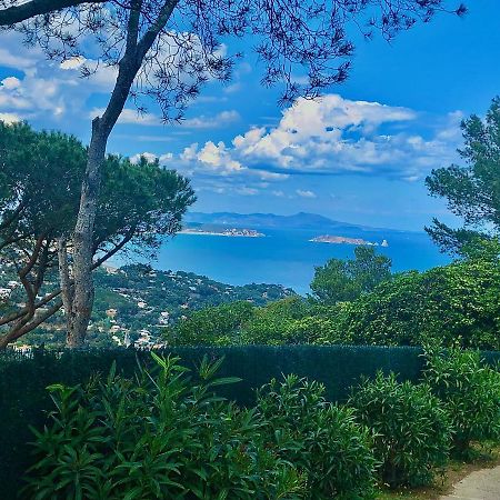 Charming & Peaceful Apartment Begur With Swimming Pool ภายนอก รูปภาพ